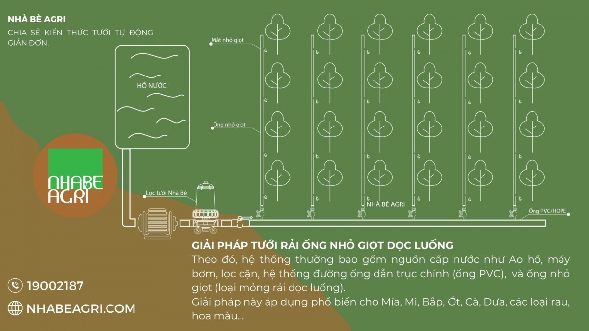 Giai phap tuoi rai ong doc luong